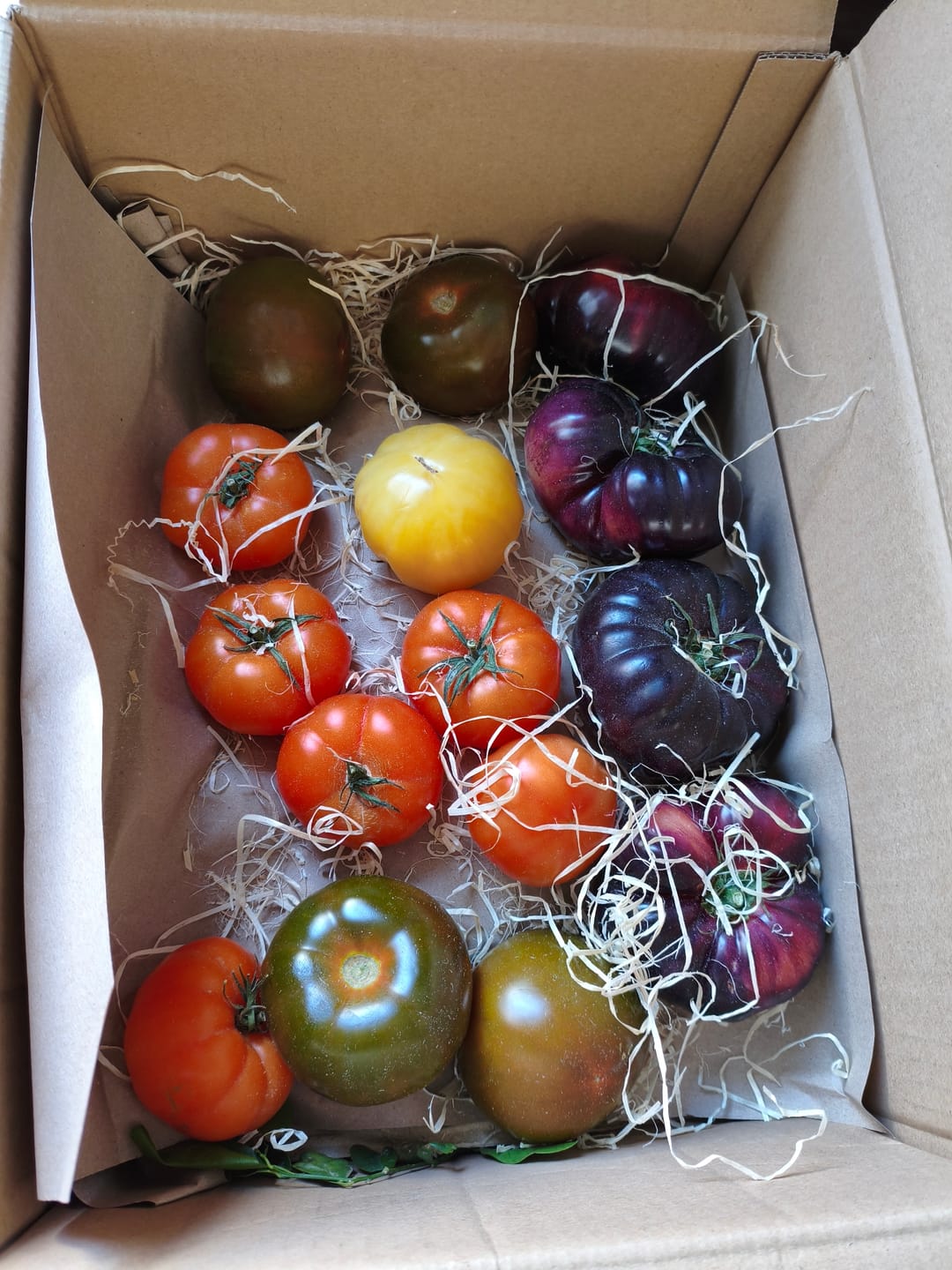 Customer photo review of Tomaten Mix von Julian Box 3kg