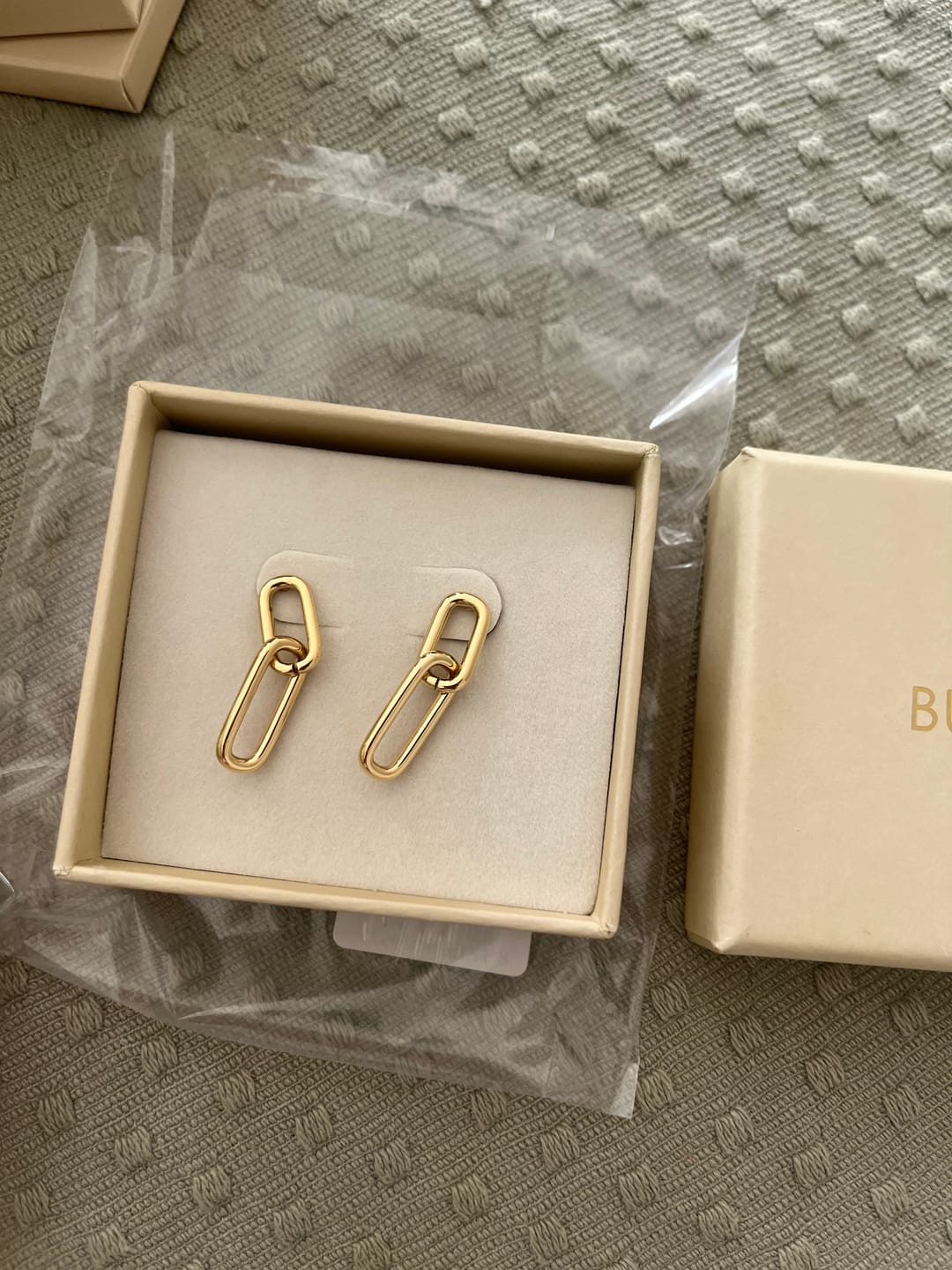 Customer photo review of Tiffany Earrings