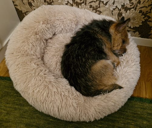 Customer photo review of CalmBed - Motverkar stress & hjälper mot ångest