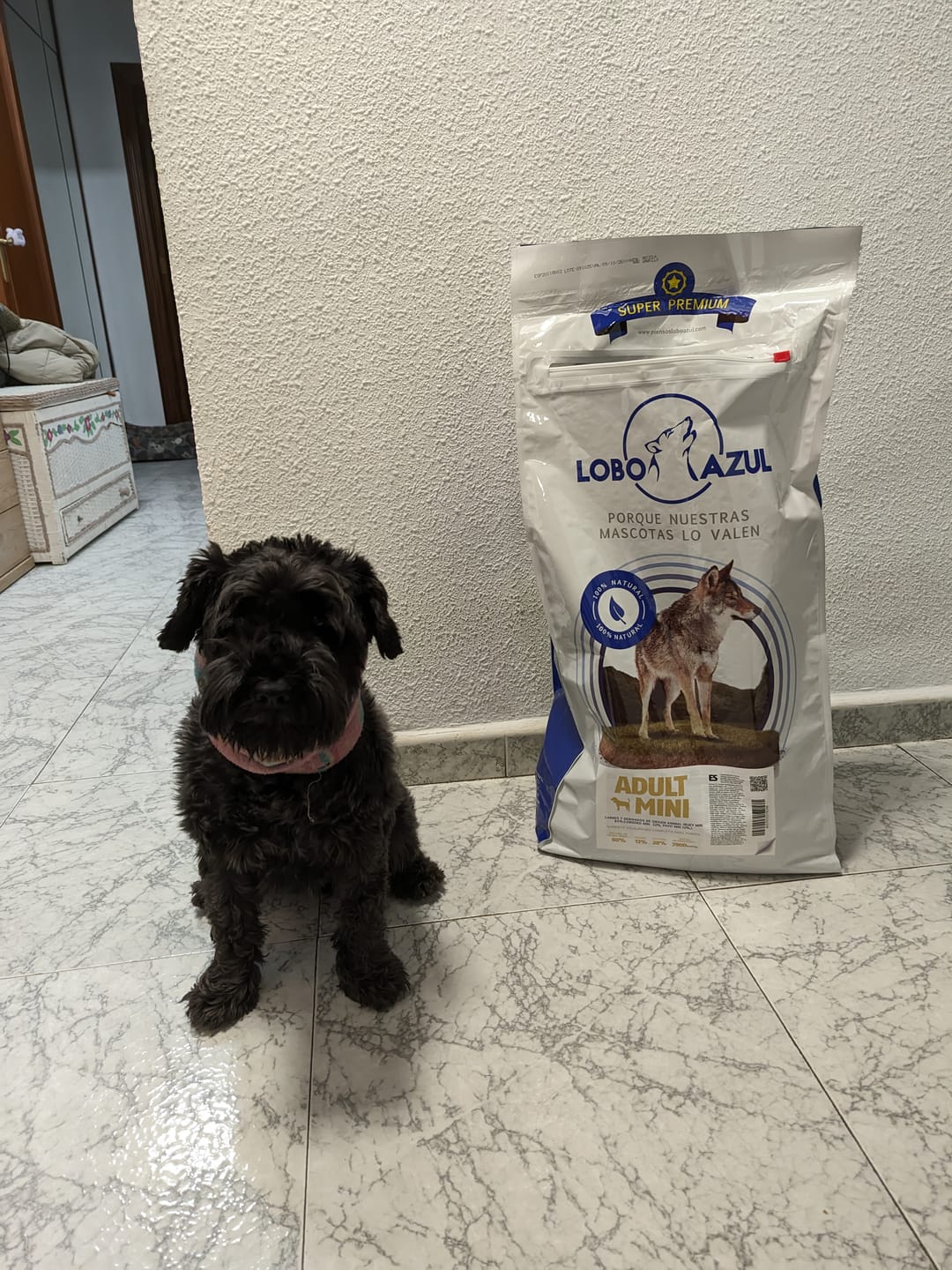 Customer photo review of Adult Mini