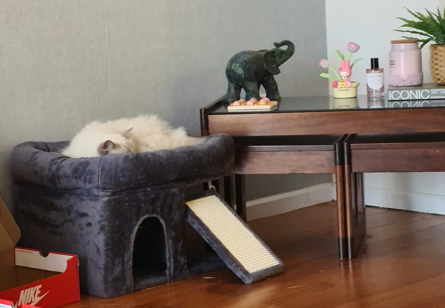 Customer photo review of Cat Tree Tower Big Perch Bed Large Condo House Scratcher Removable Soft Mat