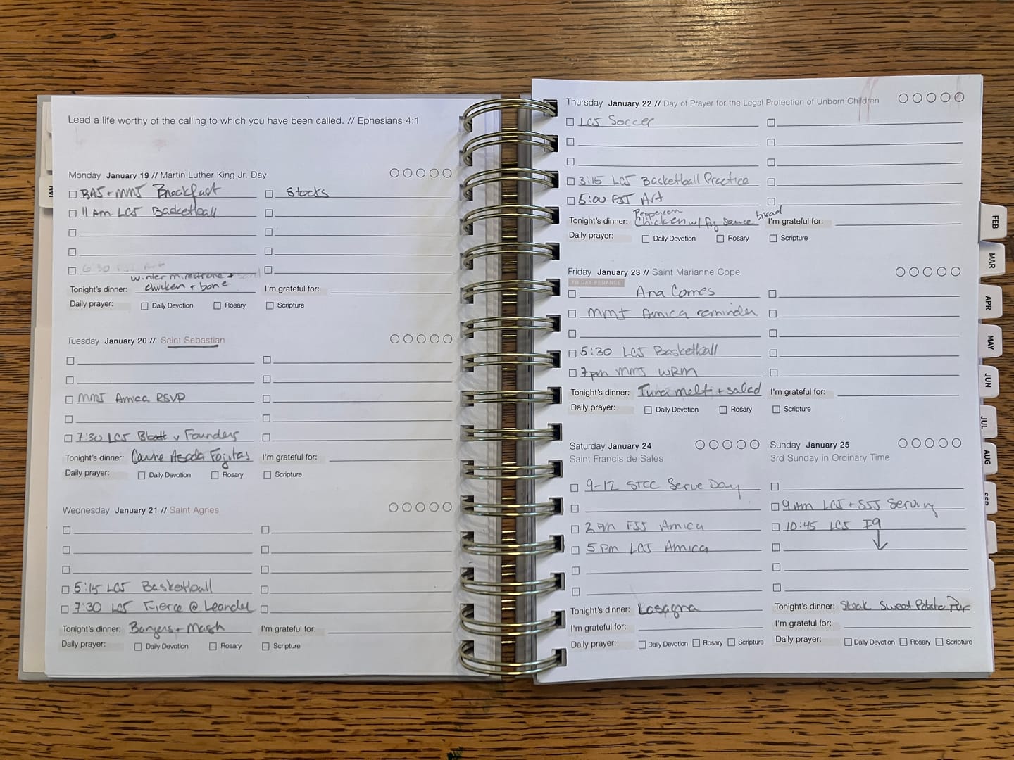 Customer photo review of 2026 Calendar Year Catholic Liturgical Planner // Mini Layout