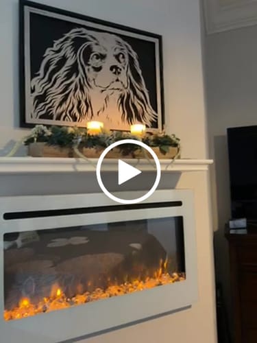 Customer video review of Custom Pet Metal Portrait