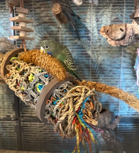 Customer photo review of Mohairhirse