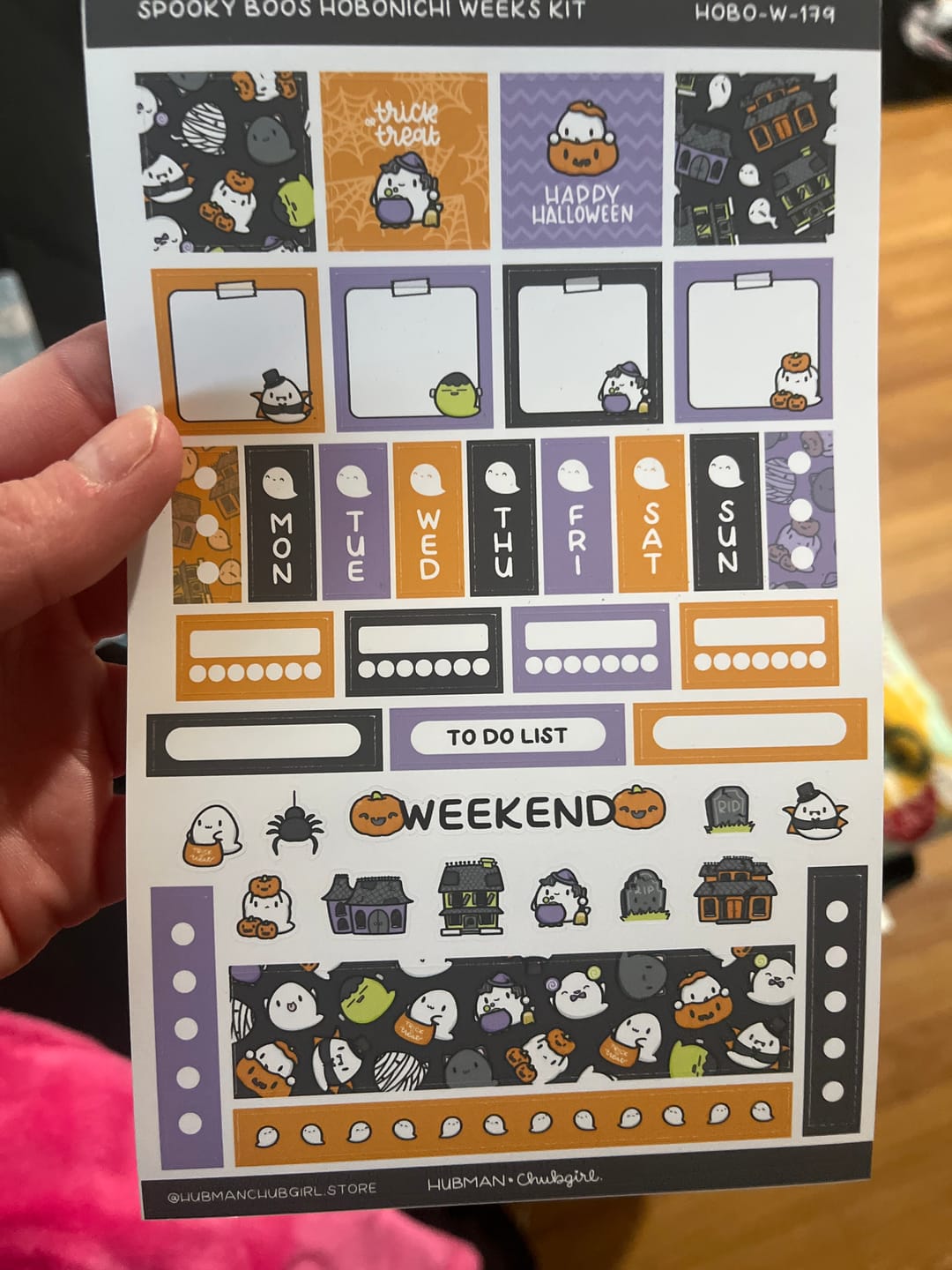 Customer photo review of Spooky Boos Theme Hobonichi Weeks Kit