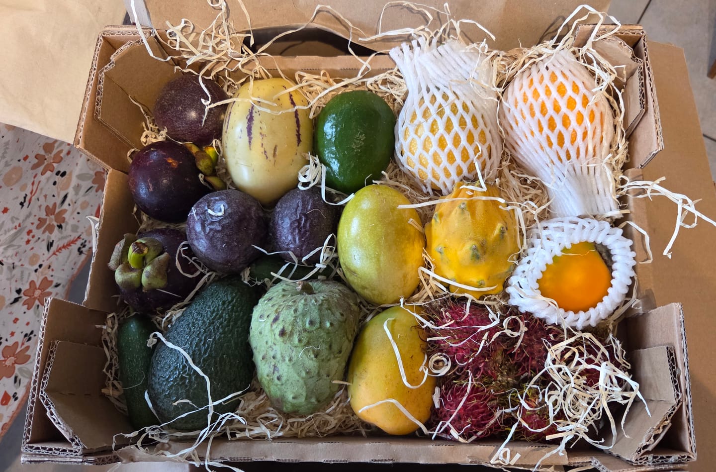 Customer photo review of Tropenreise Südamerika Box
