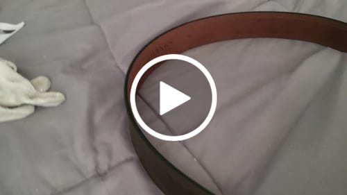 Customer video review of The Wyoming Bison