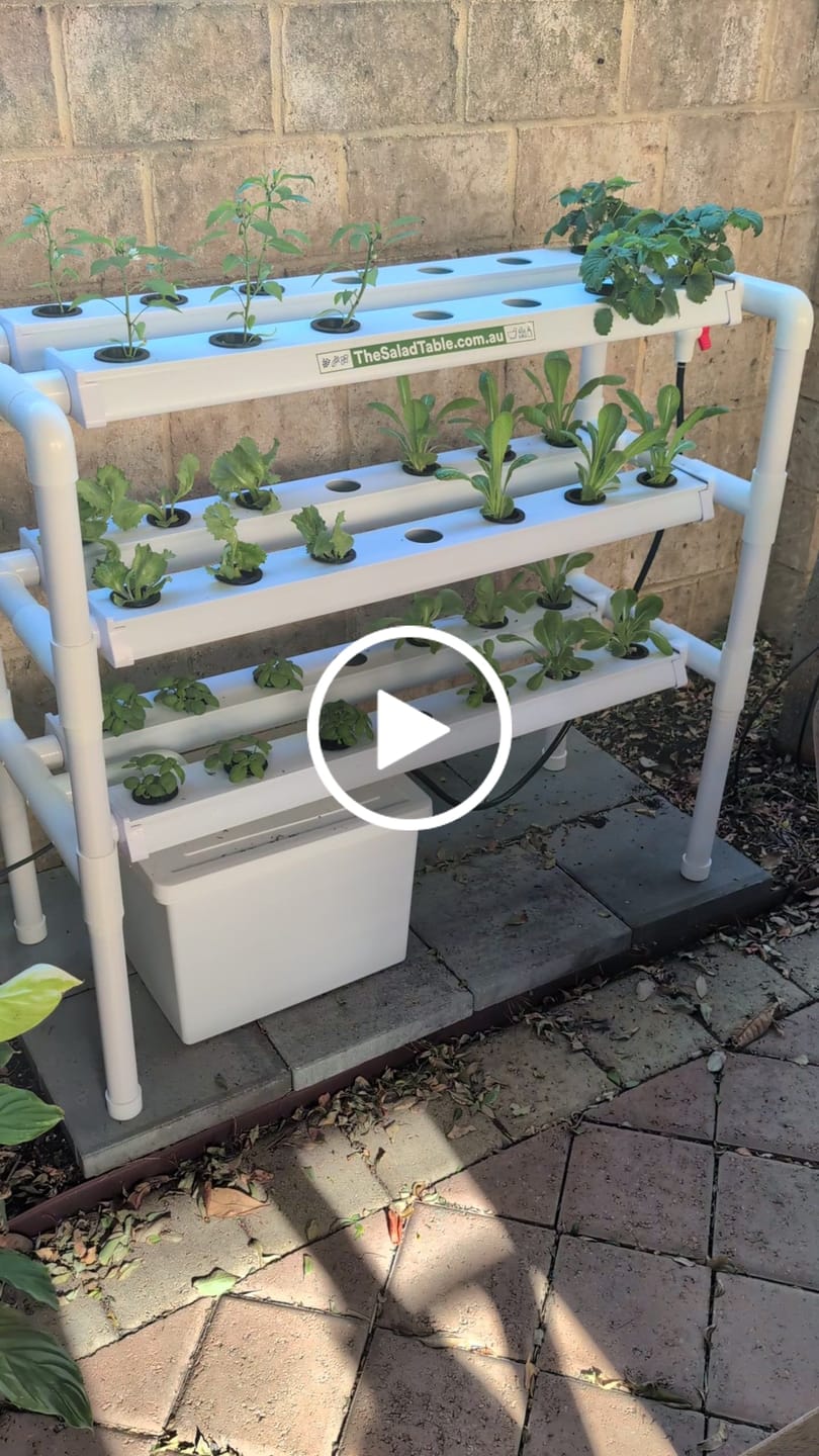 Customer video review of The Triple Decker Salad Table