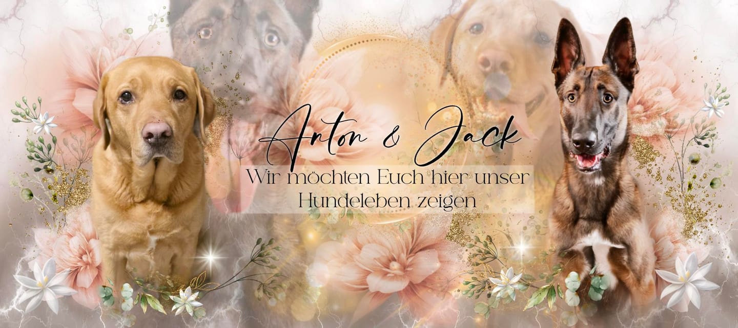 Customer photo review of FEED-BANNER mit deinem Design