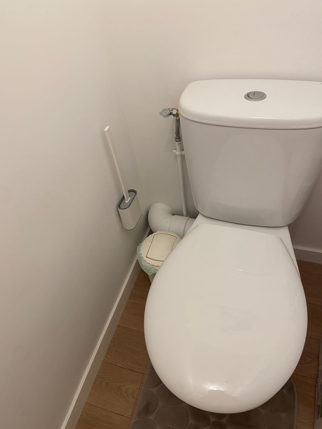 Customer photo review of Brosse de Toilette Performante et Hygiénique en Silicone