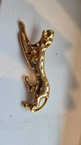 Customer photo review of Yhpup 2025 Stainless Steel Zirconia Leopard Brooch Pin for Women Men High Quality Golden Fashion Clothing Unisex Accessories