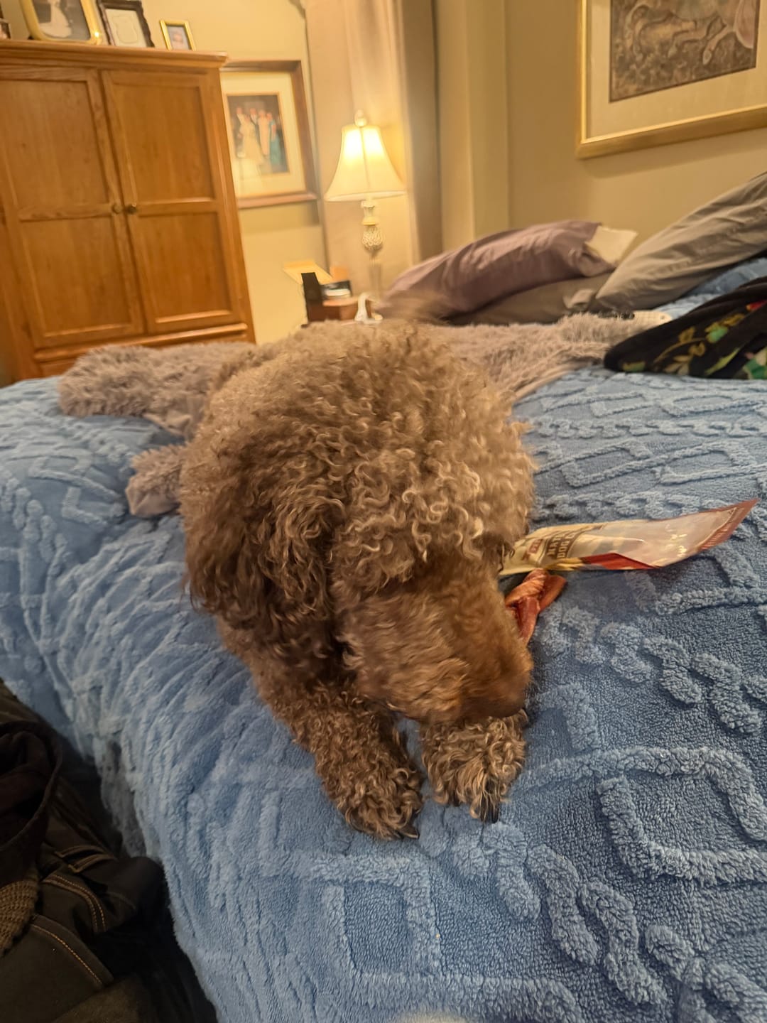 Customer photo review of 6 Inch Monster Braided Bully Stick