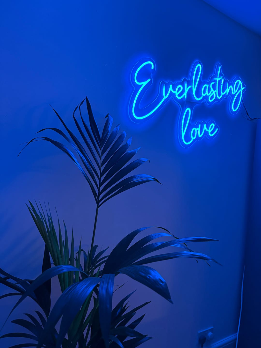 Customer photo review of Design Your Own Neon Sign
