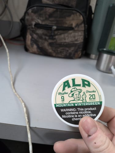 A customer's hand holding a white, round tin of ALP Mountain Wintergreen Nicotine Pouches, showing the label.