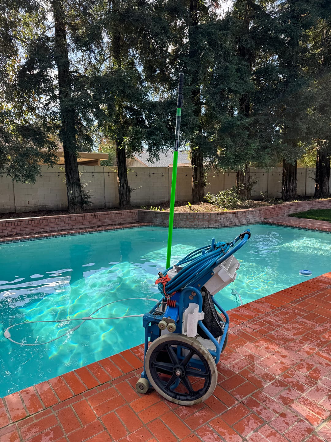Customer photo review of HyperFusion / Swimming Pool Pole / High Impact Resistant