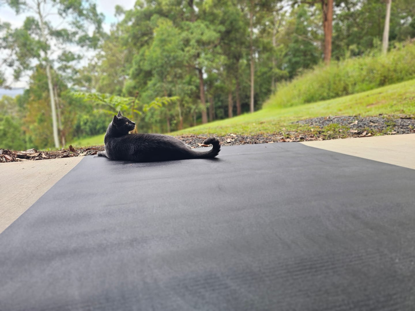 Customer photo review of Miramat® - 200cm x 120cm - Extra Large Exercise Mat - In Stock