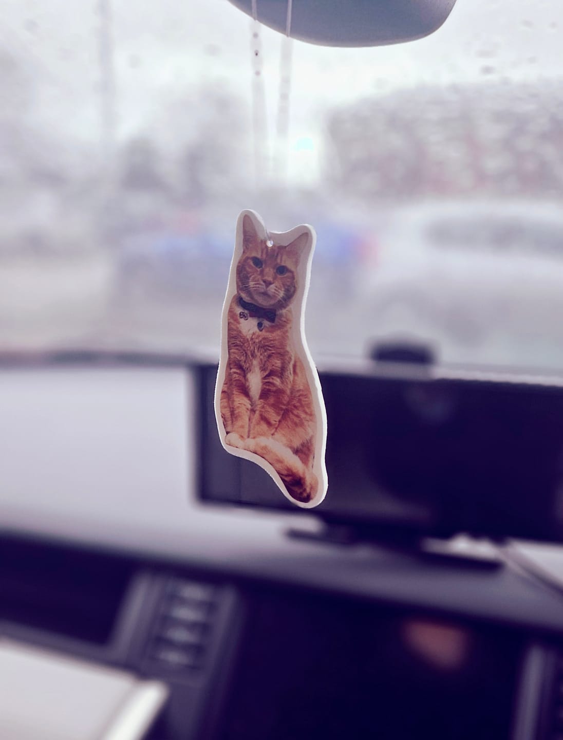 Customer photo review of Personalised Custom Car Air Freshener With Your Photo
