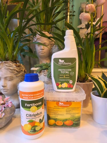 Customer photo review of Fertibono CitriPlus: Abono Cítricos, (1L), Rico en Hierro, Zinc, Calcio,Manganeso, Magnesio, AminoAcidos y NPK - Abono Plantas, Ecológico, Residuo Cero