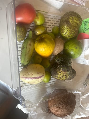 Customer photo review of Tropical Variety Box