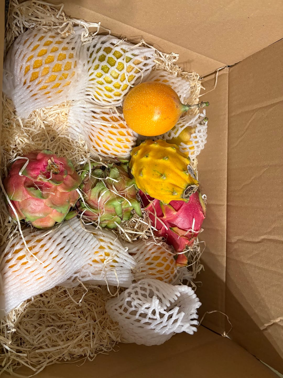 Customer photo review of Drachenfrucht Mix bunt Aktionswoche