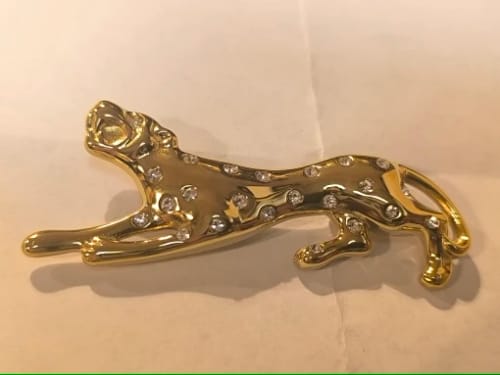 Customer photo review of Yhpup 2025 Stainless Steel Zirconia Leopard Brooch Pin for Women Men High Quality Golden Fashion Clothing Unisex Accessories