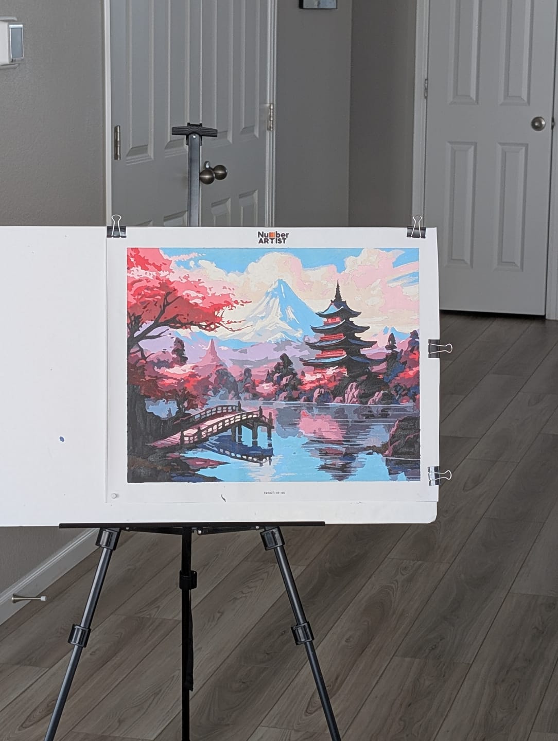 Customer photo review of Eternal Fuji