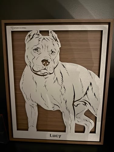 Customer photo review of Custom Pet Metal Portrait