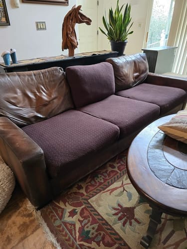 Customer photo review of Dog Proof Cushion Covers