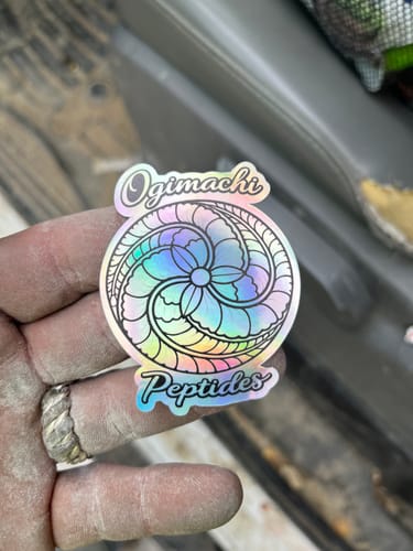Customer photo review of 100 2.5" Custom Holographic Stickers