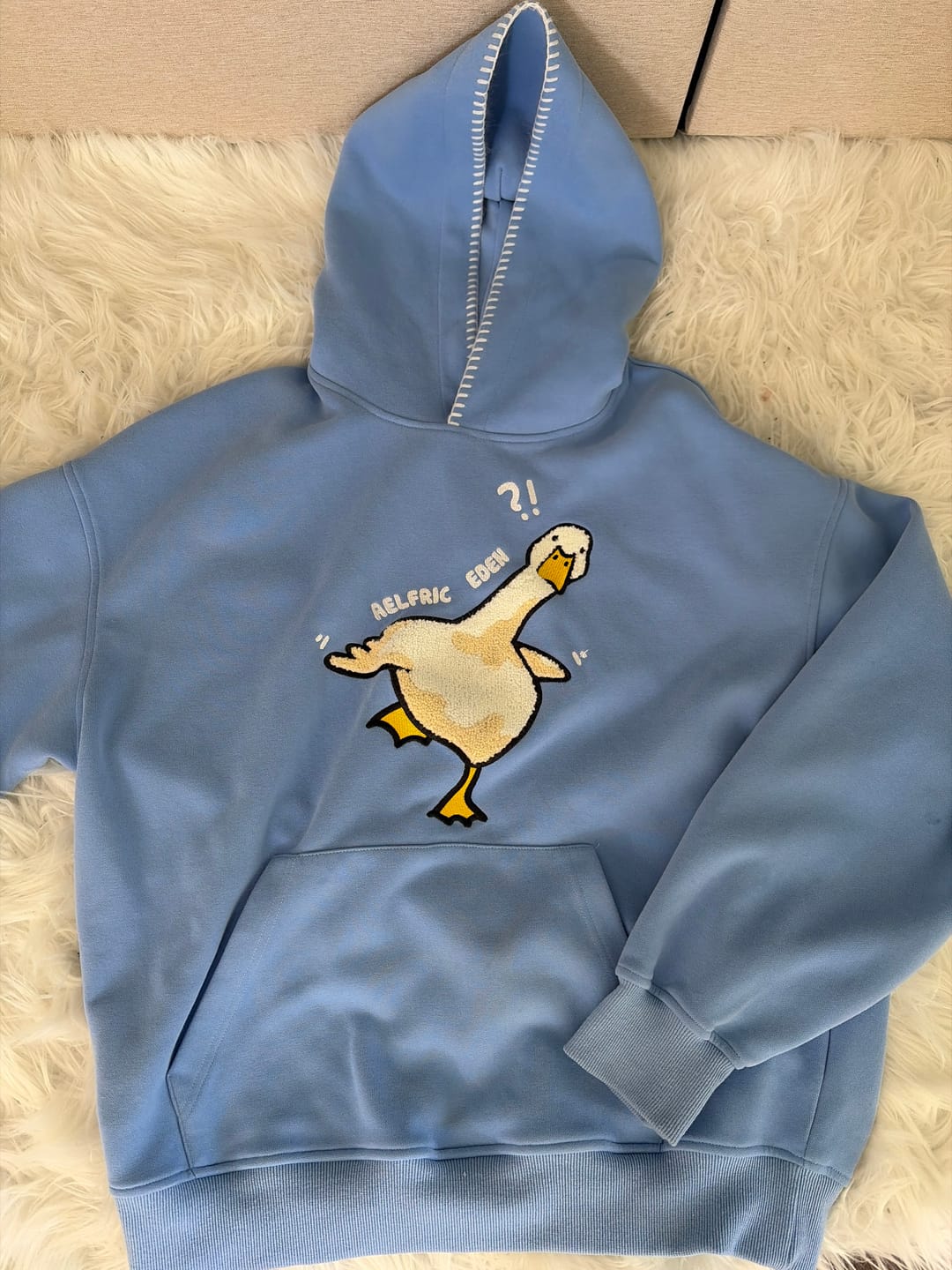 Customer photo review of Aelfric Eden Oversized Duck Pullover Hoodie