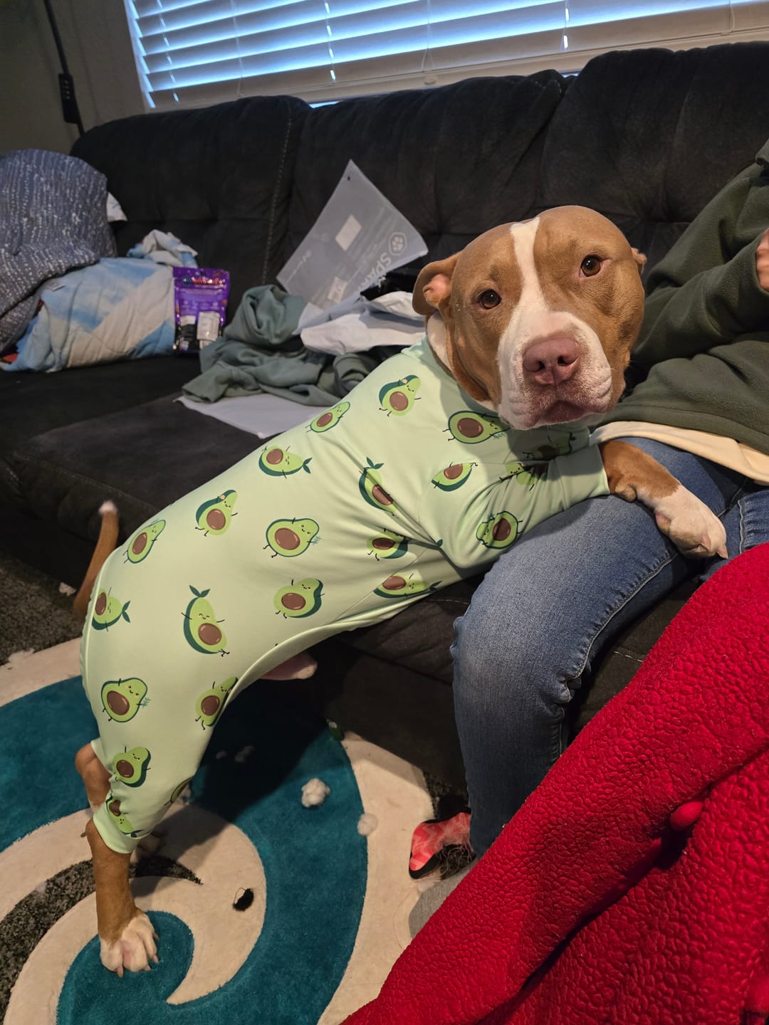 Customer photo review of Dog Pajama - Avocado