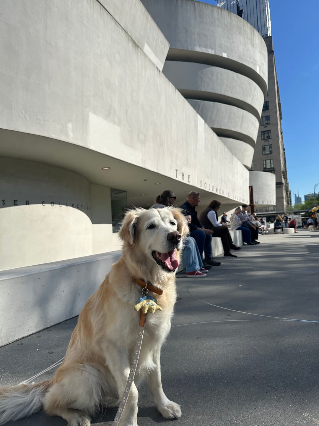 Customer photo review of Daisy Collar and Leash - Beige
