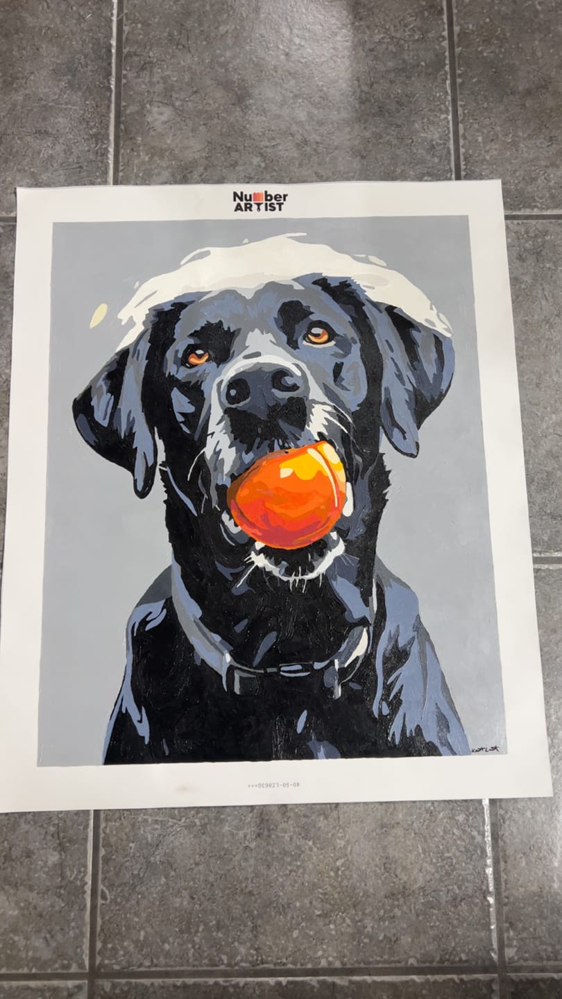 Customer photo review of Play Time