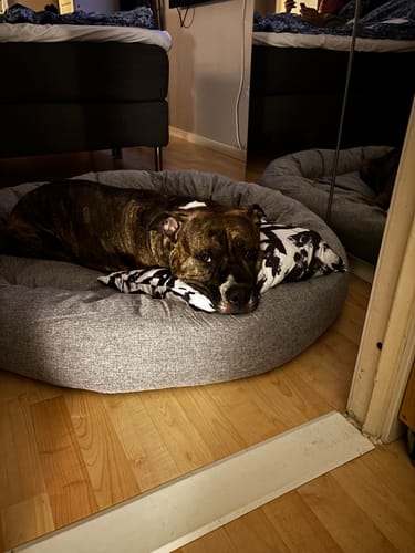 Customer photo review of CalmBed - Motverkar stress & hjälper mot ångest