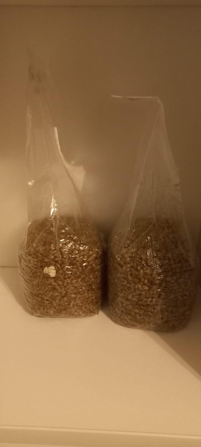 Customer photo review of Roggen Körnerbrutgrundlage 650g
