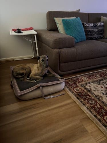 Customer photo review of Digital Photo Frame