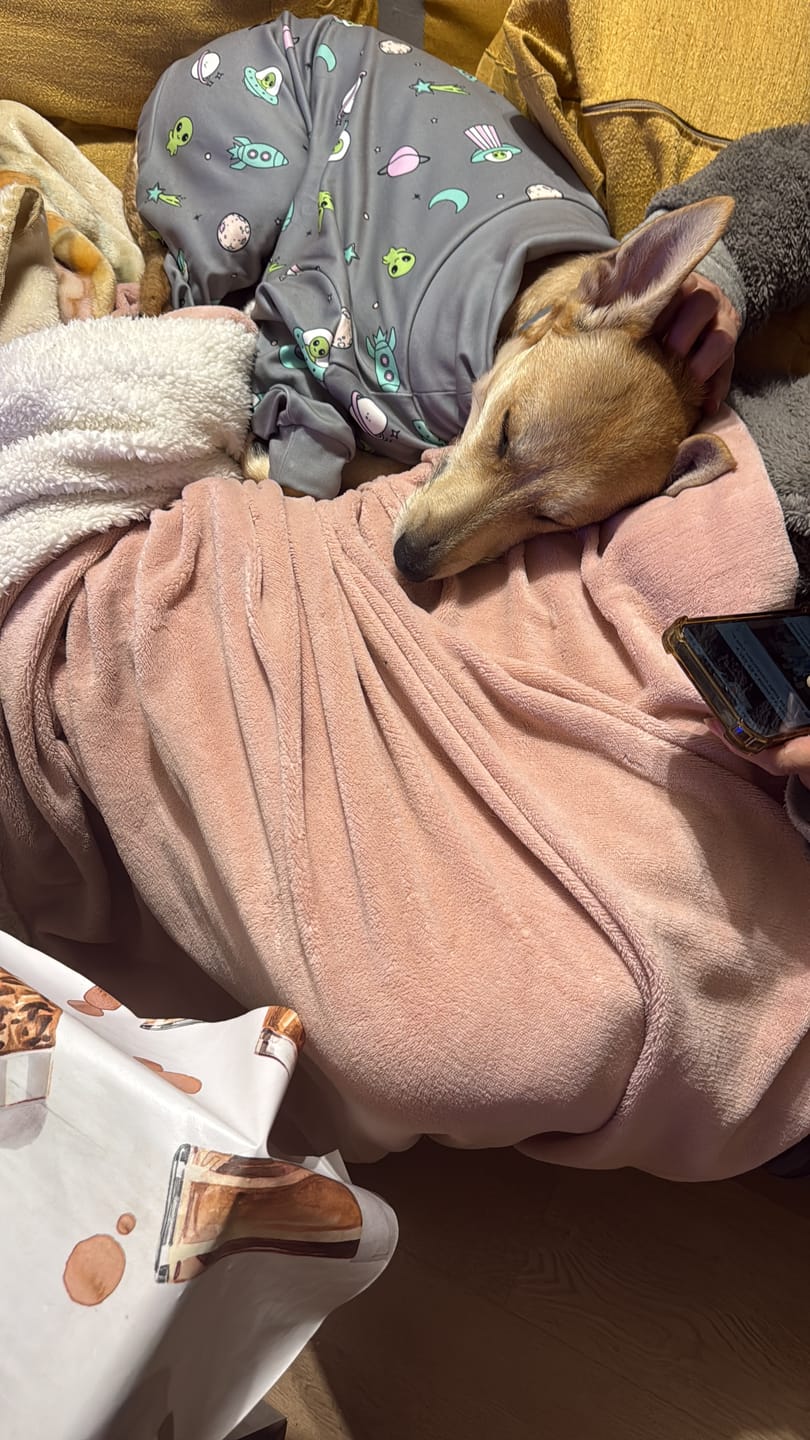 Customer photo review of Dog Pajama - Alien