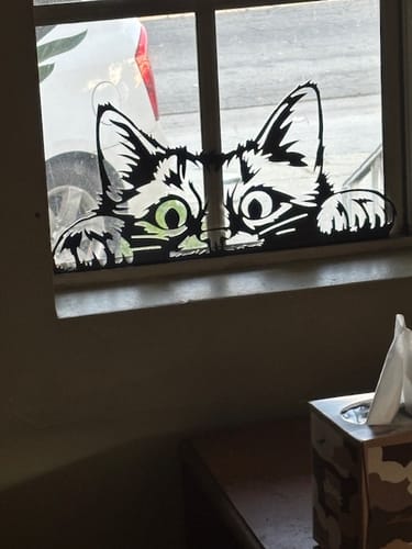 Customer photo review of Peeking Cat - Metal Wall Art