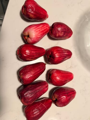 Customer photo review of Otaheite Apple (Jamaican Apple/Malay Apple) ***PRE ORDER 2026 SEASON***