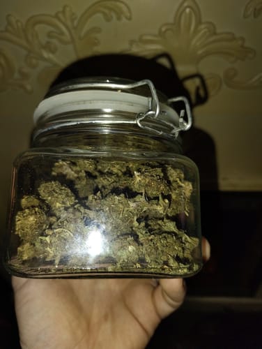 Customer photo review of Burger Breath - Bulk - Indica
