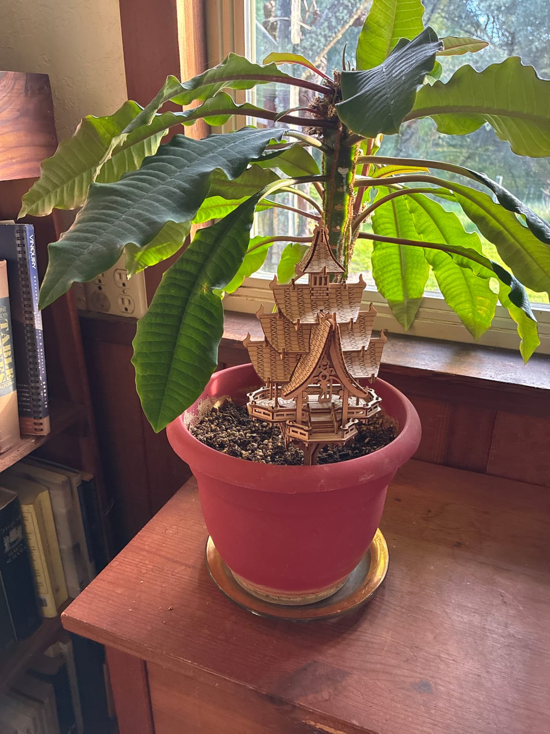 Customer photo review of Temple of Joy