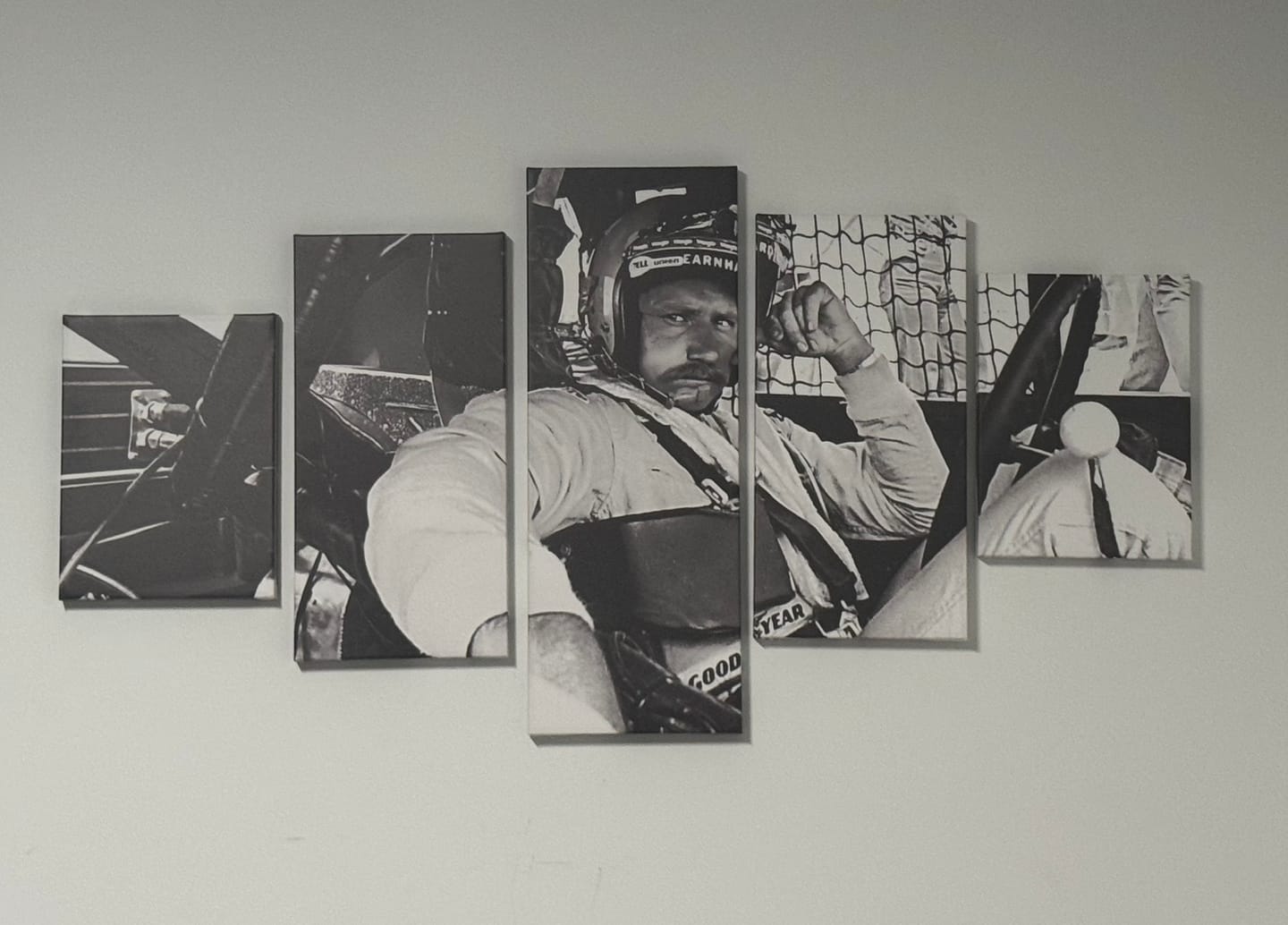 Customer photo review of Dale Earnhardt Wall Art