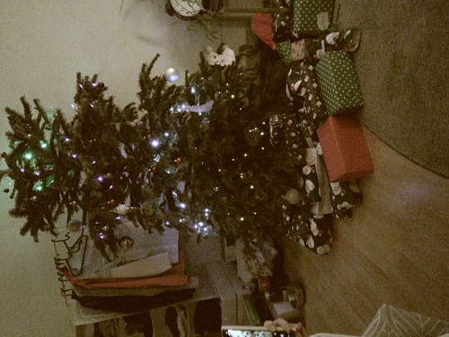 Rezensent fotografiert einen Weihnachtsbaum mit der NUVINT Digitalkamera und zeigt so deren Vintage-Bildqualität.