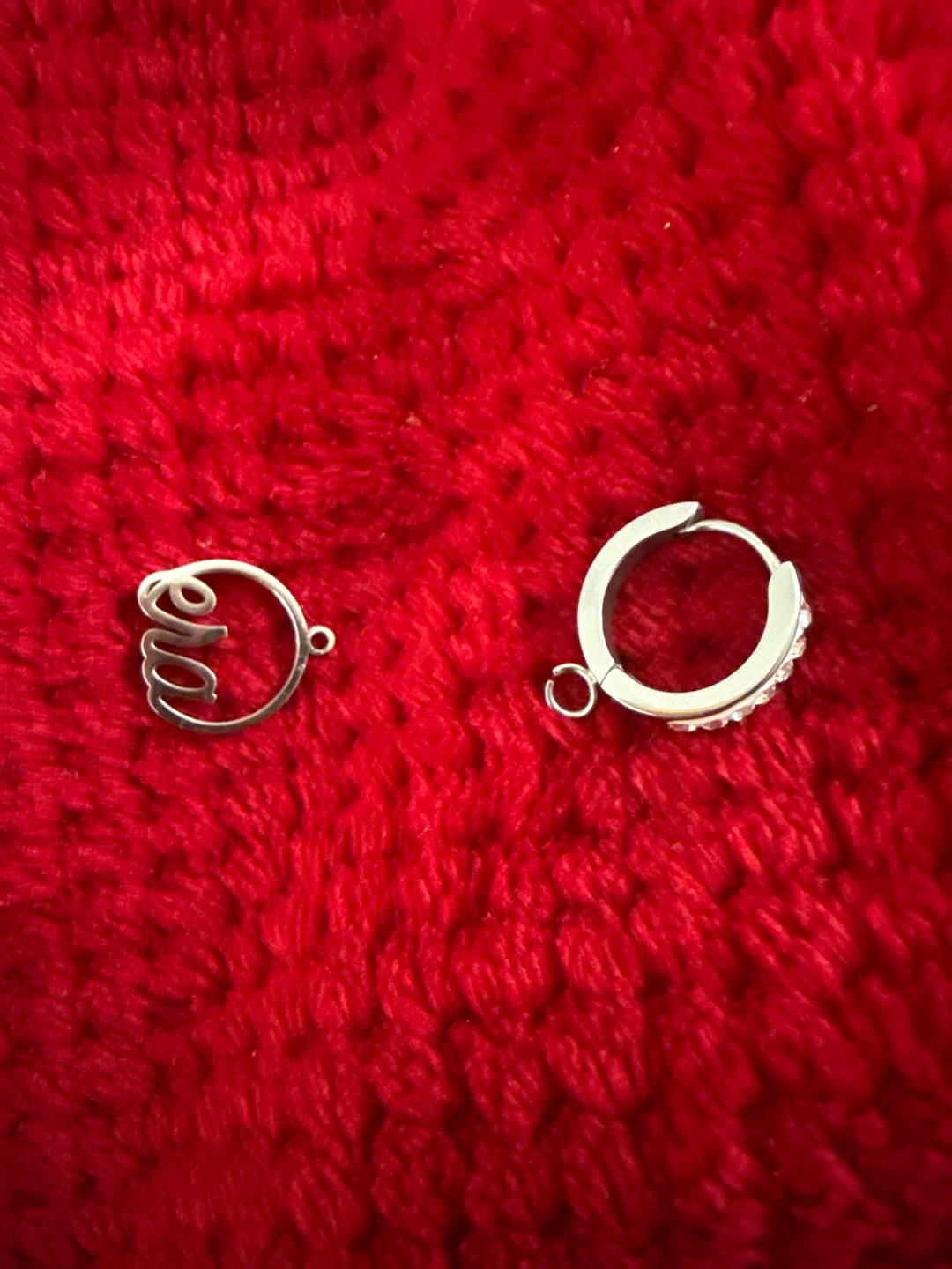 Customer photo review of Silver Precious Logo Earrings