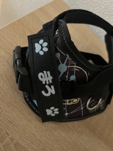 Customer photo review of FunFunPet 高機能ハーネス（お名前タグ作成サービス付き）