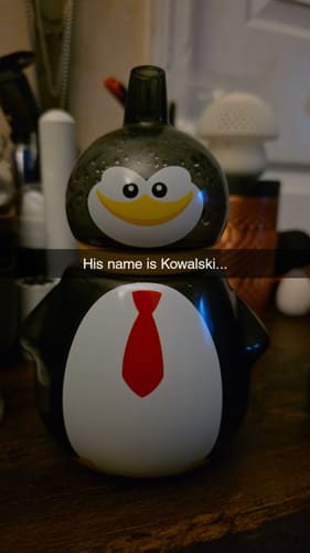 Customer photo review of Tux - Penguin Bubbler