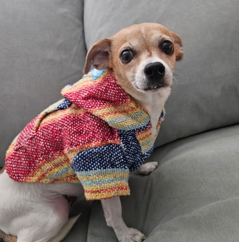 Customer photo review of Playa Poncho – Parrotfish