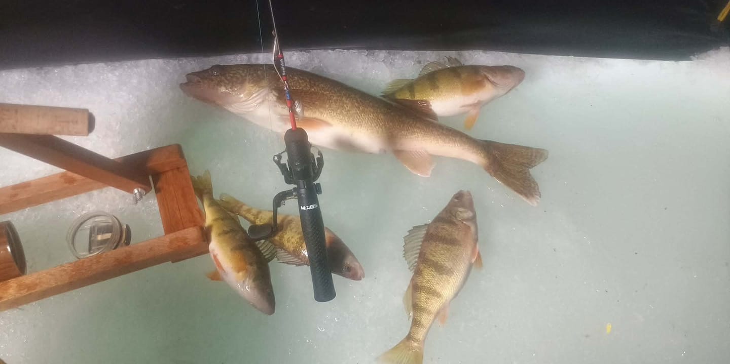 Customer photo review of Custom Carbon Ice Rod
