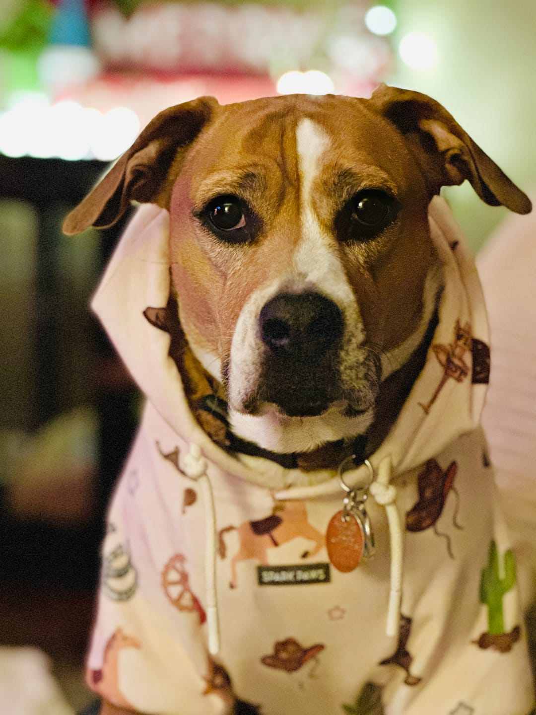 Customer photo review of Dog Hoodie Prints