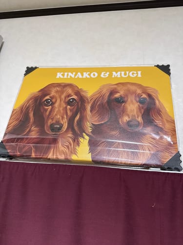 Customer photo review of Petcanvaオーダーメイド ペット似顔絵